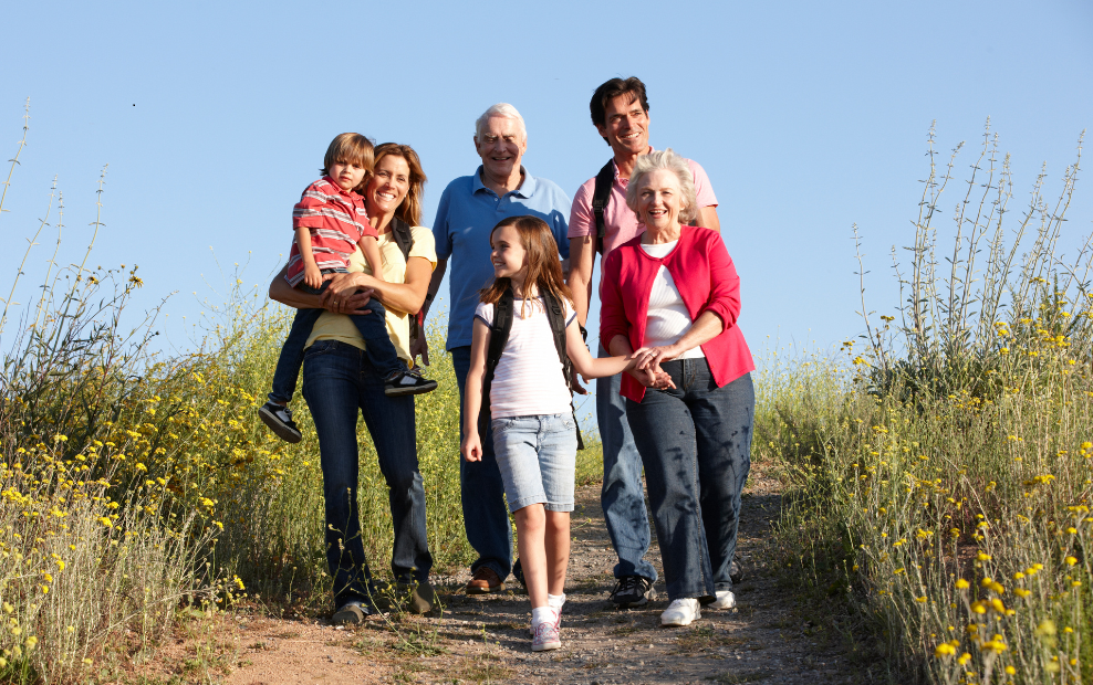 Four adults and two children from a multi-generation family walk together along a sunlit countryside path bordered by tall grasses and yellow wildflowers beneath a clear blue sky.